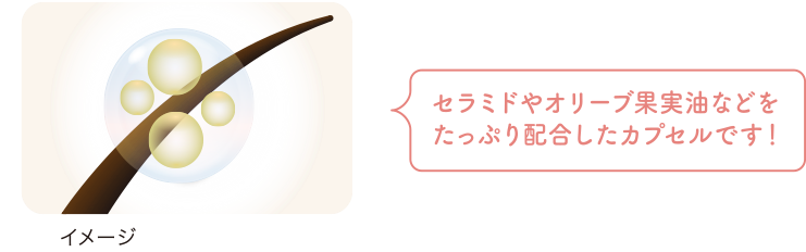 セラミドやオリーブ果実油などをたっぷり配合したカプセルです！