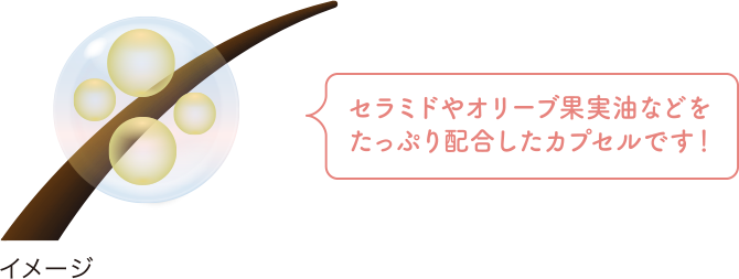 セラミドやオリーブ果実油などをたっぷり配合したカプセルです！