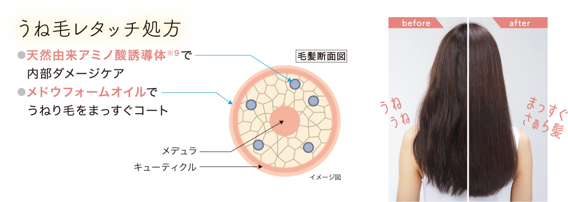 天然由来アミノ酸誘導体(※9)で内部ダメージケア。メドウフォームオイルでうねり毛をまっすぐコート。