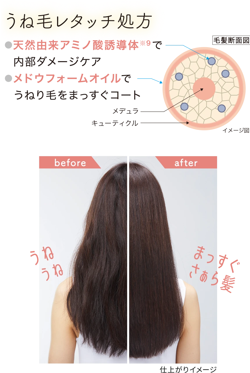 天然由来アミノ酸誘導体(※9)で内部ダメージケア。メドウフォームオイルでうねり毛をまっすぐコート。