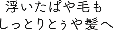 浮いたぱや毛もしっとりとぅや髪へ
