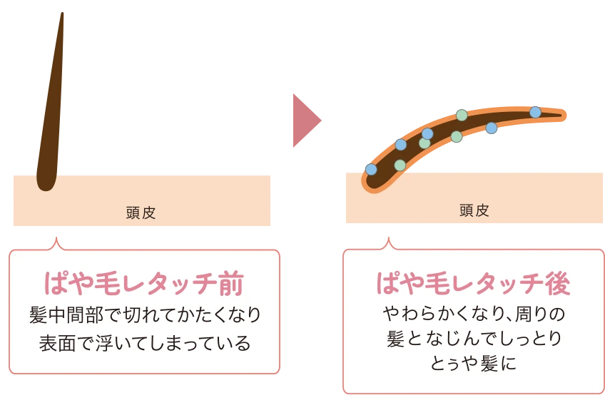 ぱや毛レタッチ前：髪中間部で切れてかたくなり表面で浮いてしまっている。ぱや毛レタッチ後：やわらかくなり、周りの髪となじんでしっとりとぅや髪に