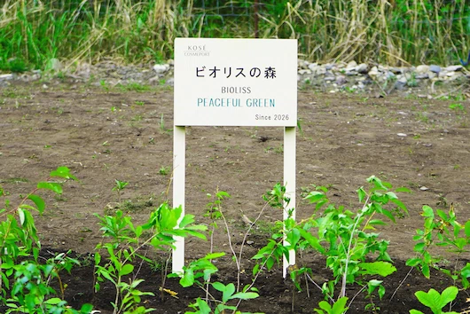 植樹活動の様子1